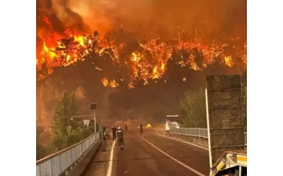 Yeşil Vatan Uğruna Şehit Düşen Kahramanlarımızı Unutmayacağız