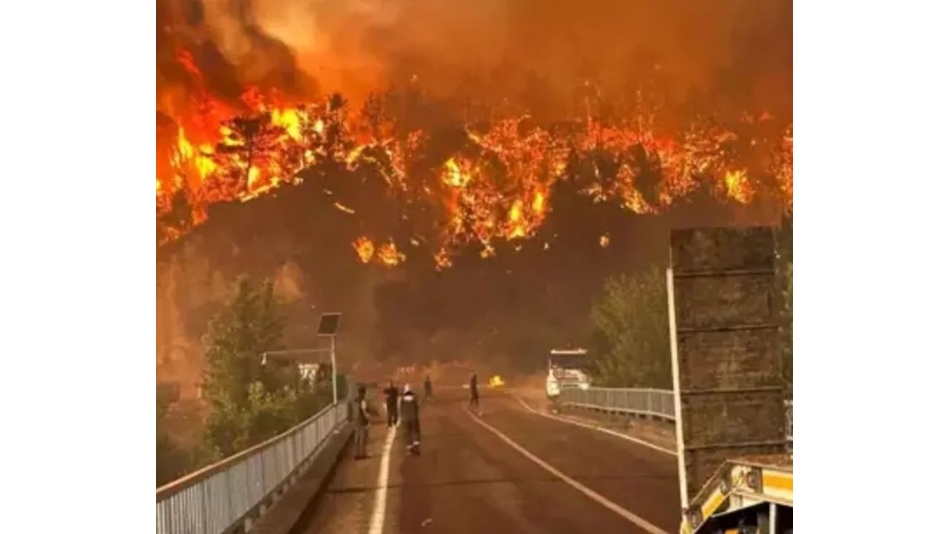 Yeşil Vatan Uğruna Şehit Düşen Kahramanlarımızı Unutmayacağız